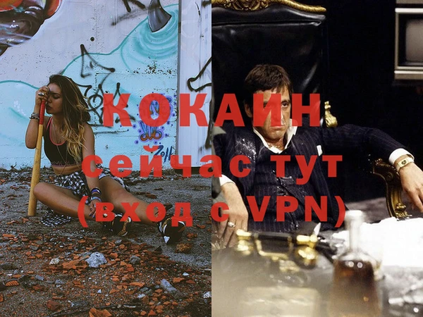 мяу мяу мука Арсеньев