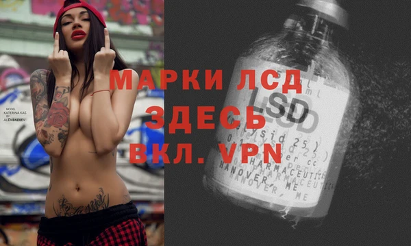 мяу мяу мука Арсеньев